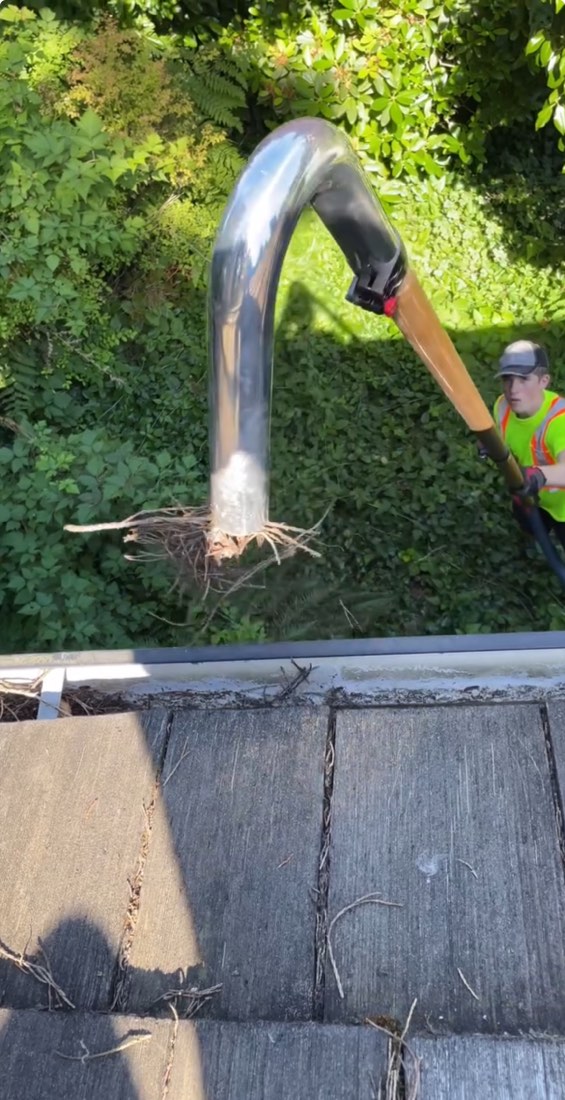 Gutter cleaning